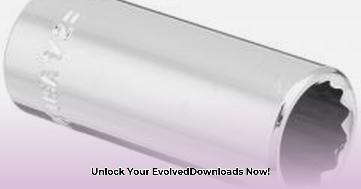 evolveddownloads-com